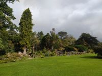 066-Muckross-Parc &ndash; &copy; Dirk Schlosser (Eberhardt TRAVEL)