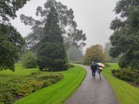 075-Blarney Parc
