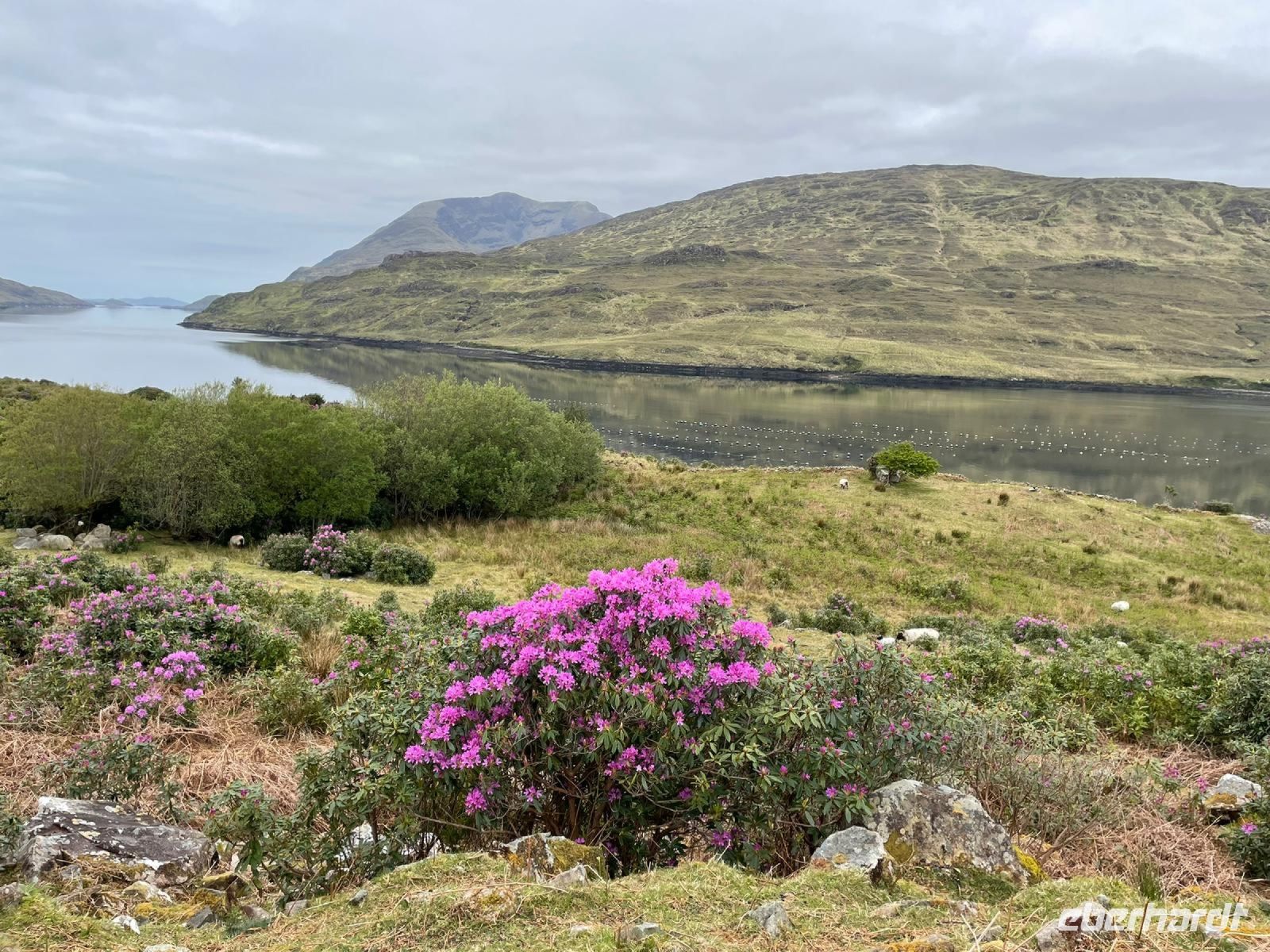 2 Connemara_unterwegs &ndash; &copy; Walter Neuwirth (Eberhardt TRAVEL)