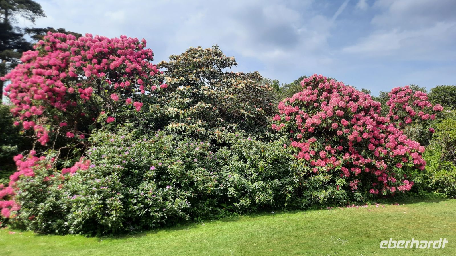 6 Muckross Garden c &ndash; &copy; Walter Neuwirth (Eberhardt TRAVEL)