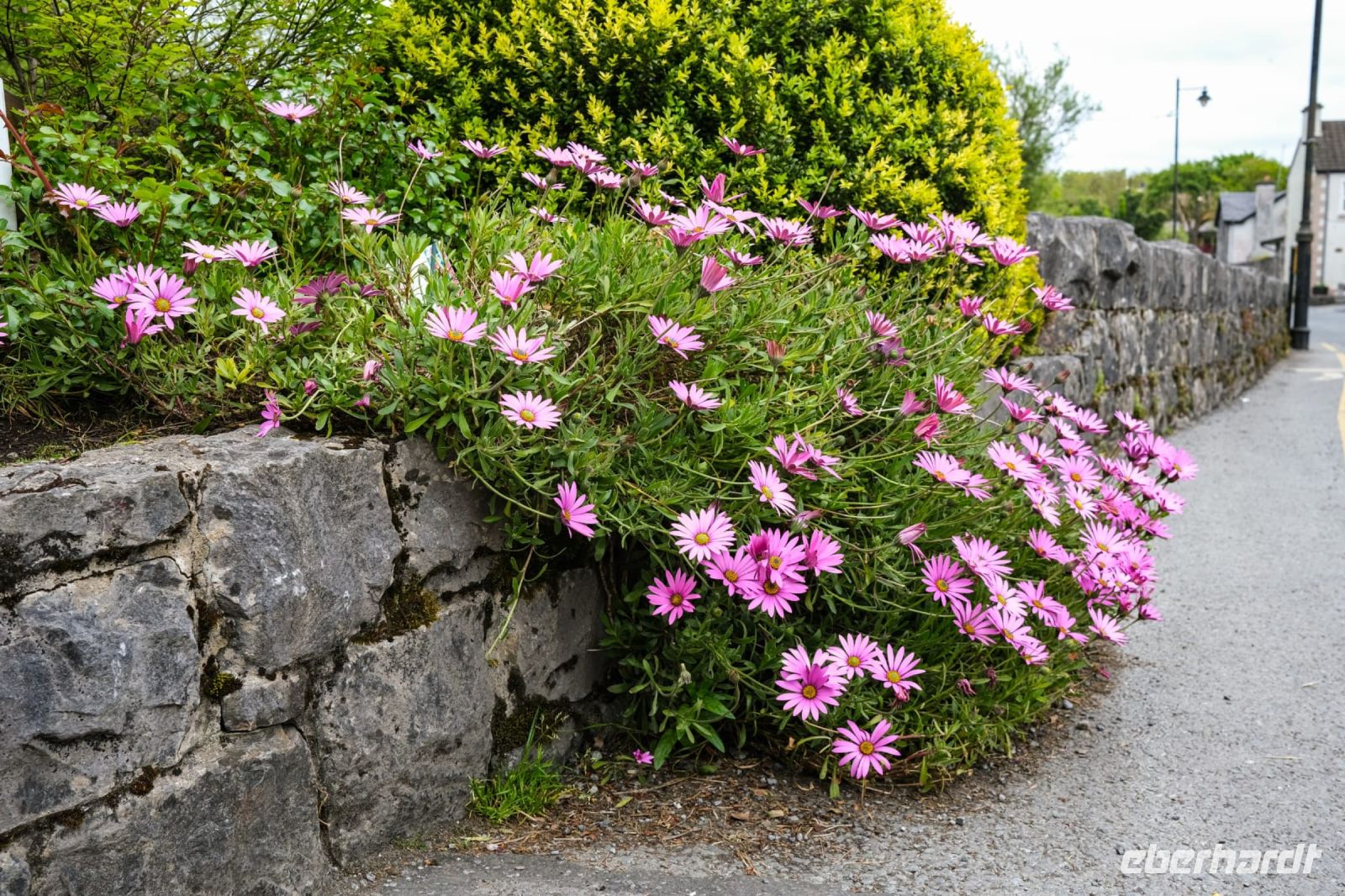 Irland_c &ndash; &copy; Walter Neuwirth (Eberhardt TRAVEL)