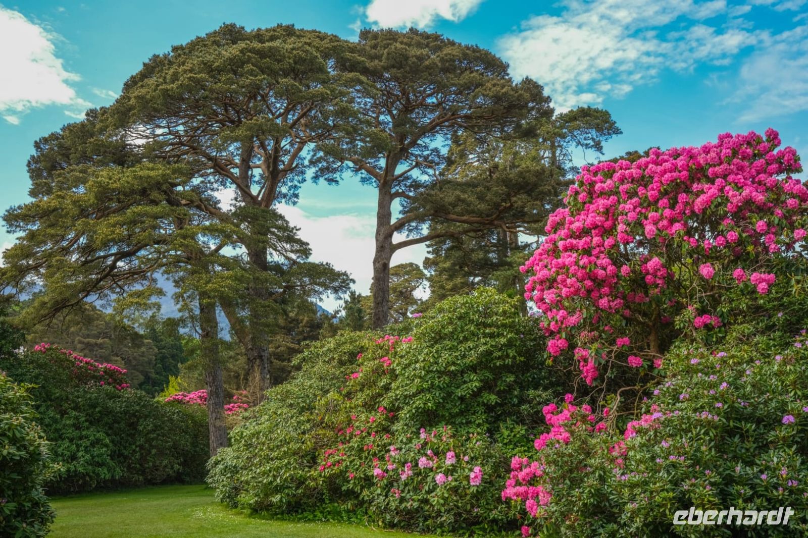 6_Muckross_House_. &ndash; &copy; Walter Neuwirth (Eberhardt TRAVEL)