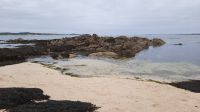 2 Coral Beach &ndash; &copy; Walter Neuwirth (Eberhardt TRAVEL)