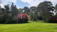 6 Muckross Garden d &ndash; &copy; Walter Neuwirth (Eberhardt TRAVEL)