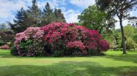 6 Muckross Traum &ndash; &copy; Walter Neuwirth (Eberhardt TRAVEL)