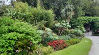 7 Blarney Caste Pflanzen &ndash; &copy; Walter Neuwirth (Eberhardt TRAVEL)