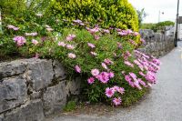 Irland_c &ndash; &copy; Walter Neuwirth (Eberhardt TRAVEL)