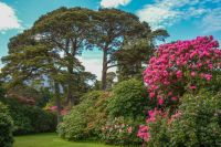 6_Muckross_House_. &ndash; &copy; Walter Neuwirth (Eberhardt TRAVEL)