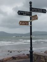 Schilder in Kerry &ndash; &copy; Walter Neuwirth (Eberhardt TRAVEL)