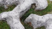 Burren &ndash; &copy; Constanze Maißel (Eberhardt TRAVEL)
