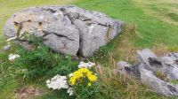 Burren &ndash; &copy; Constanze Maißel (Eberhardt TRAVEL)