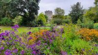 Blarney Castle &ndash; &copy; Constanze Maißel (Eberhardt TRAVEL)