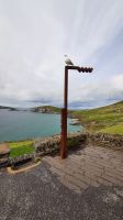 Dingle &ndash; &copy; Constanze Maißel (Eberhardt TRAVEL)