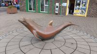 Fungie Dingle &ndash; &copy; Constanze Maißel (Eberhardt TRAVEL)