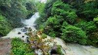 Torc Wasserfall &ndash; &copy; Constanze Maißel (Eberhardt TRAVEL)