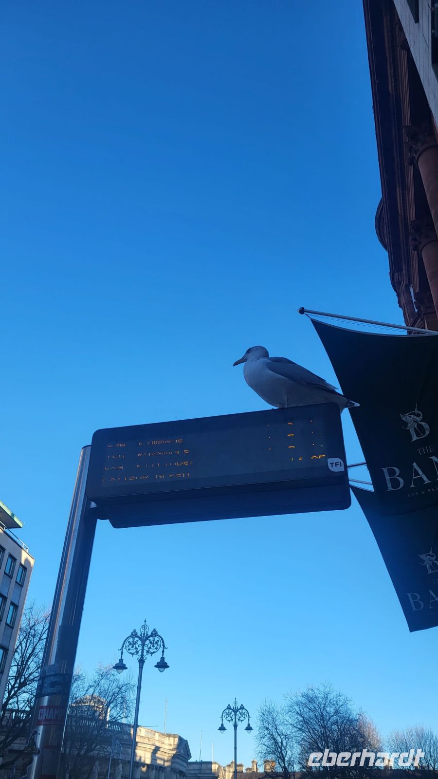 74 - Dublin &ndash; &copy; Vivien Fiedler (Eberhardt TRAVEL)