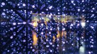 43 - Guinness Storehouse &ndash; &copy; Vivien Fiedler (Eberhardt TRAVEL)