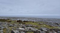 Burren &ndash; &copy; Sinah Witzig (Eberhardt TRAVEL)