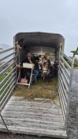 Ring of Kerry &ndash; &copy; Sinah Witzig (Eberhardt TRAVEL)