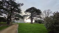 051 - Malahide Castle &ndash; &copy; Vivien Fiedler (Eberhardt TRAVEL)