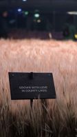 072 - Guinness Storehouse in Dublin &ndash; &copy; Vivien Fiedler (Eberhardt TRAVEL)