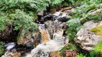 Glenevin Waterfall Way &ndash; &copy; Constanze Maißel (Eberhardt TRAVEL)