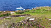 Malin Head  &ndash; &copy; Constanze Maißel (Eberhardt TRAVEL)