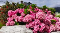 Achill Island  &ndash; &copy; Constanze Maißel (Eberhardt TRAVEL)