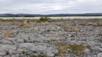 Burren &ndash; &copy; Constanze Maißel (Eberhardt TRAVEL)