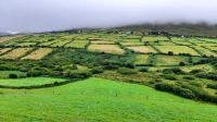 Dingle &ndash; &copy; Constanze Maißel (Eberhardt TRAVEL)