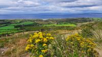 Tralee Bay &ndash; &copy; Constanze Maißel (Eberhardt TRAVEL)