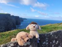 Unsere beiden Reisemaskottchen...... &ndash; &copy; Walter Neuwirth (Eberhardt TRAVEL)
