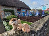 Vorgarten in Adare &ndash; &copy; Walter Neuwirth (Eberhardt TRAVEL)
