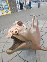 Delfin 