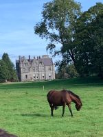 Blarney &ndash; &copy; Walter Neuwirth (Eberhardt TRAVEL)