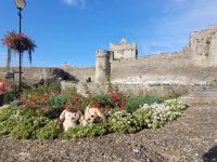 Cahir Castle &ndash; &copy; Walter Neuwirth (Eberhardt TRAVEL)