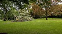 Adare im Park &ndash; &copy; Walter Neuwirth (Eberhardt TRAVEL)
