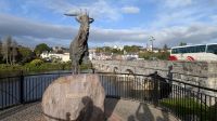 Ziegenbock von Killorglin &ndash; &copy; Walter Neuwirth (Eberhardt TRAVEL)