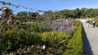 Walled Garden im Phoenix-Park &ndash; &copy; Walter Neuwirth (Eberhardt TRAVEL)