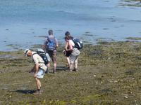 Bere Island