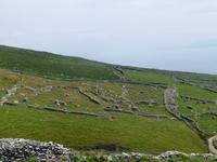 Dingle