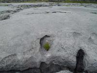 Leben im Burren