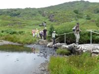 Old Kenmare Road &ndash; &copy; Ralf Kuchenbecker (Eberhardt TRAVEL)