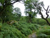 Old Kenmare Road &ndash; &copy; Ralf Kuchenbecker (Eberhardt TRAVEL)