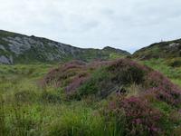 Sheeps Head &ndash; &copy; Ralf Kuchenbecker (Eberhardt TRAVEL)