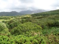 im Connemara NP &ndash; &copy; Dirk Schlosser (Eberhardt TRAVEL)