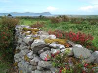 Gallarus Oratory &ndash; &copy; Dirk Schlosser (Eberhardt TRAVEL)