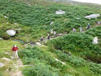 Dingle &ndash; &copy; Ralf Kuchenbecker (Eberhardt TRAVEL)