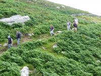 Dingle &ndash; &copy; Ralf Kuchenbecker (Eberhardt TRAVEL)