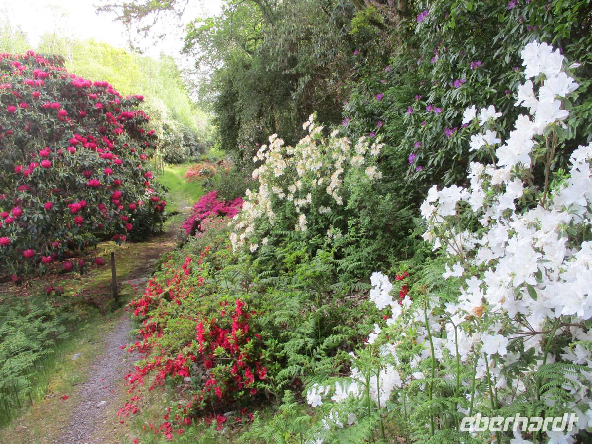 Dereens Garden &ndash; &copy; Peter Rudolph (Eberhardt TRAVEL)